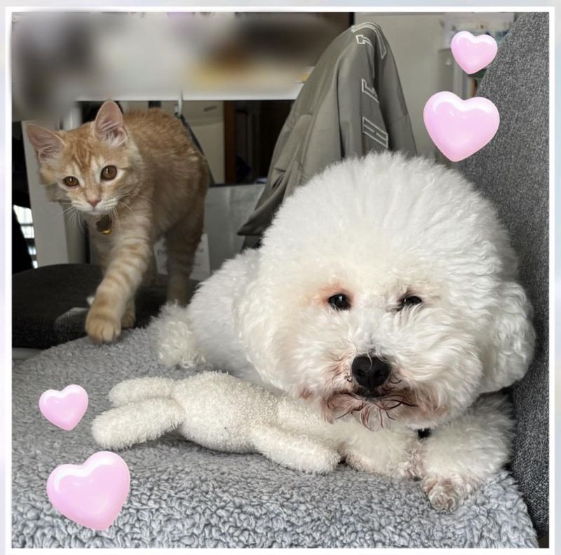 株式会社浜松マネジメントコンサルティングのアルバイト・バイト求人情報-17