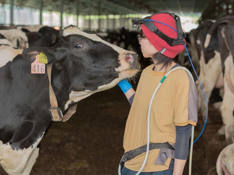 有限会社小林農産