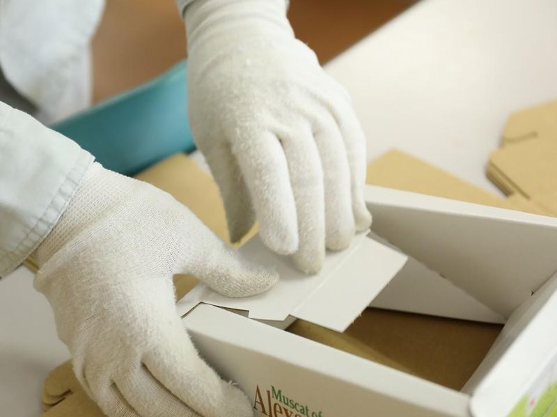 株式会社菊地秀美堂/京都工場の求人情報