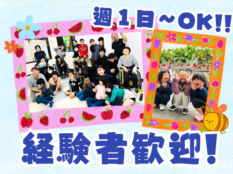 児童デイサービスイルカのアルバイト・バイト求人情報-07