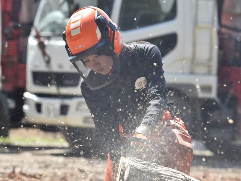 チームで挑戦!地元と自然を支える林業の仕事を知る/WEB開催