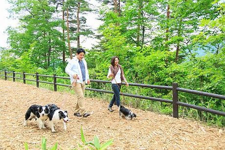 高山わんわんパラダイスホテル&コテージ　店舗のアルバイト・バイト求人情報-04