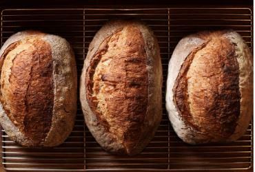 VERACE PANETTERIA-GASTRONOMIA 代田のアルバイト・バイト求人情報-04