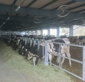 瀬戸内メイプルファーム株式会社