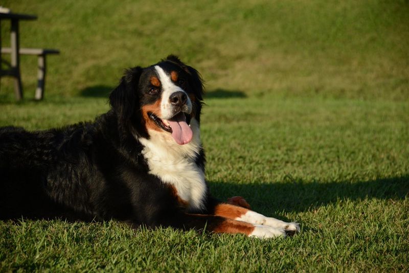 株式会社リューズの求人・転職情報