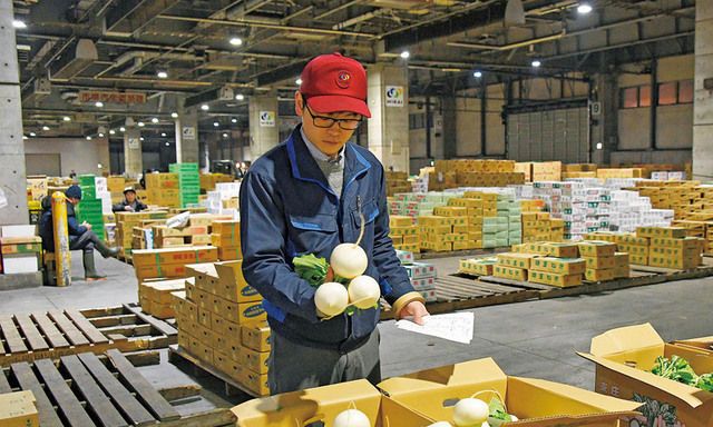 札幌みらい中央青果株式会社の求人・転職情報