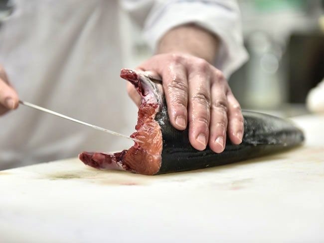 回転寿司 函館 旬花のアルバイト・バイト求人情報-10