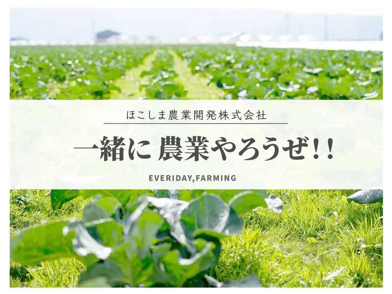 ほこしま農業開発株式会社の求人・転職情報