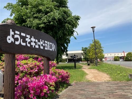 キユーピー株式会社の求人・転職情報