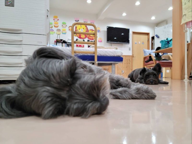 上原医院通所リハビリテーションの求人・転職情報-04