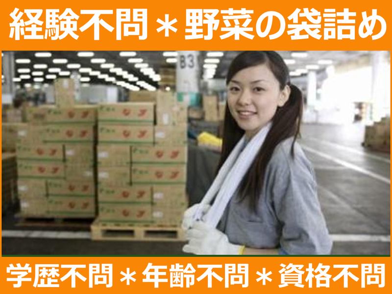 株式会社扶桑スタッフの派遣求人情報