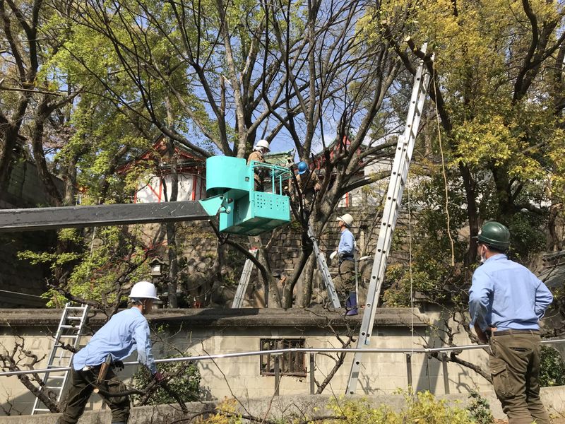 株式会社季節の詩　営業所のアルバイト・バイト求人情報-03