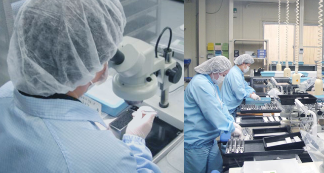 ㈱鎌田スプリングの求人・転職情報