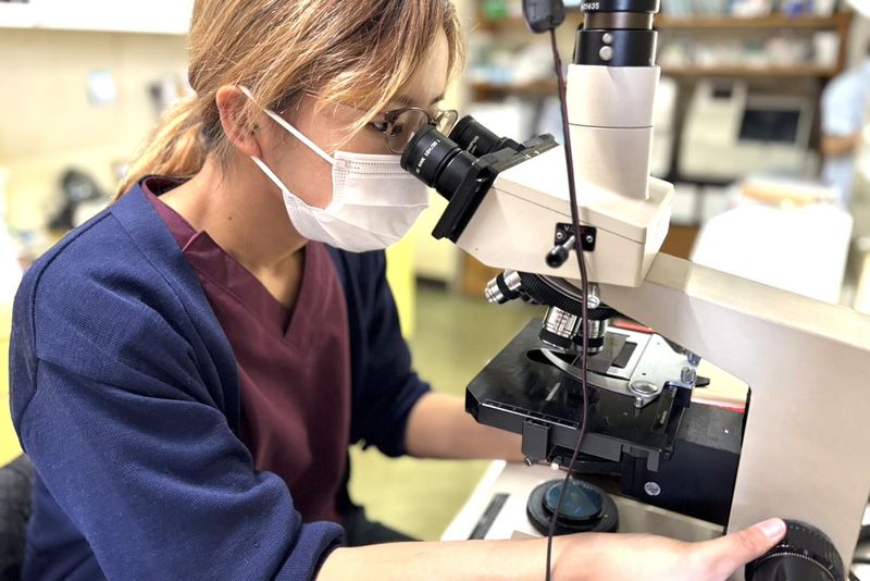 桑原動物病院のアルバイト・バイト求人情報-02