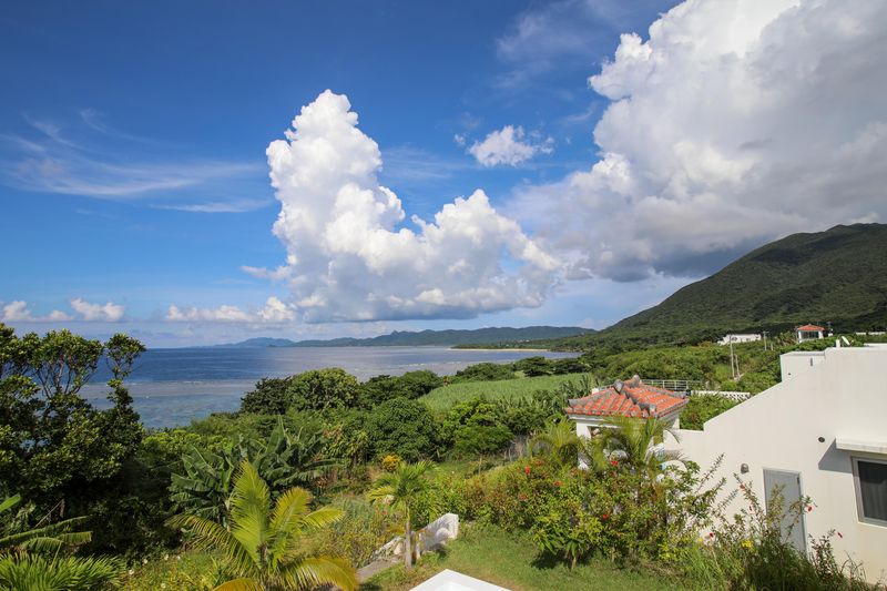 株式会社タイレルの求人・転職情報