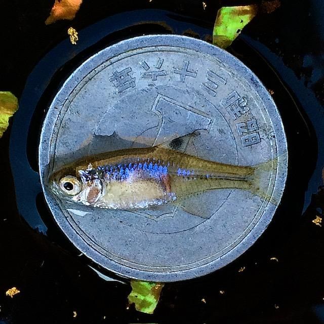 株式会社東和コーポレーション　秋葉原営業所【三鷹】のアルバイト・バイト求人情報-02