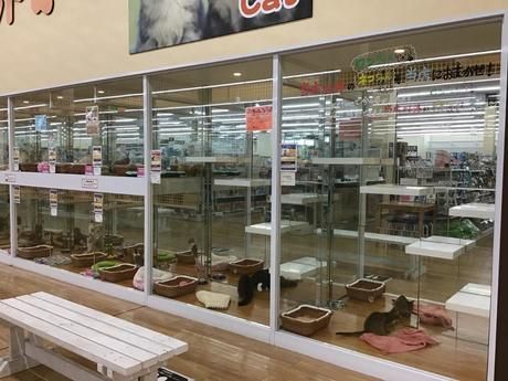 株式会社Ruff Collectionの求人・転職情報