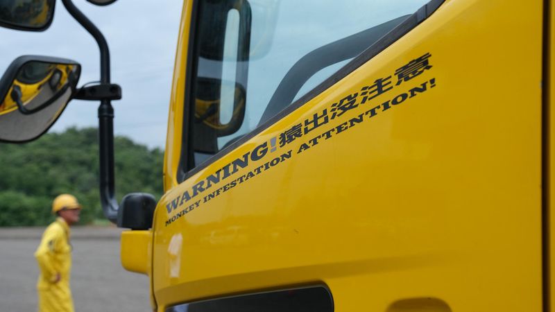 有限会社モンキーバスケットの求人情報