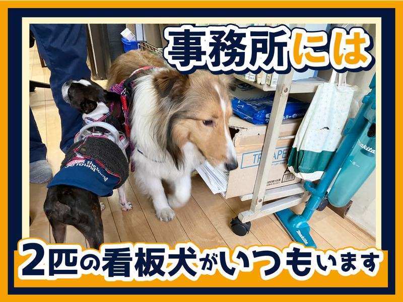 株式会社光星運輸の求人・転職情報