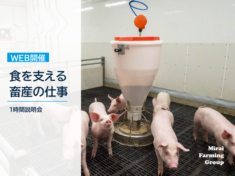 WEB説明会|食を支える畜産の仕事(1時間)