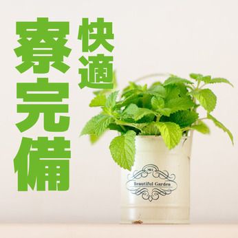 株式会社マルソ　江戸川オフィスの求人・転職情報-05