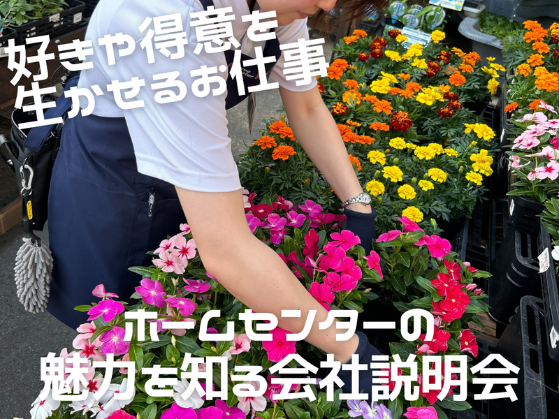 農学の知識も活かせる!植物の魅力を伝える売り場づくり体験
