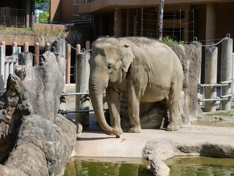 東山動植物園(請負先)のアルバイト・バイト求人情報-04