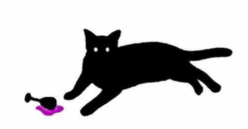 マチュカバーの派遣求人情報