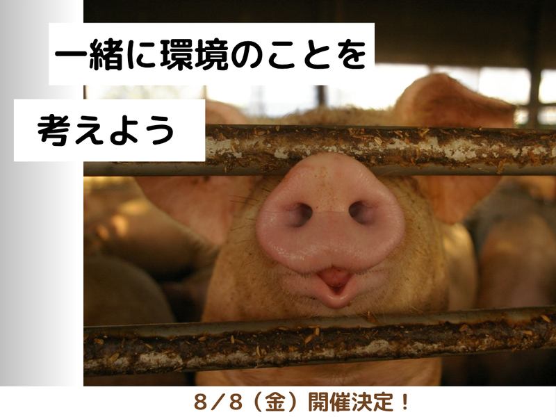 有限会社環境テクシス