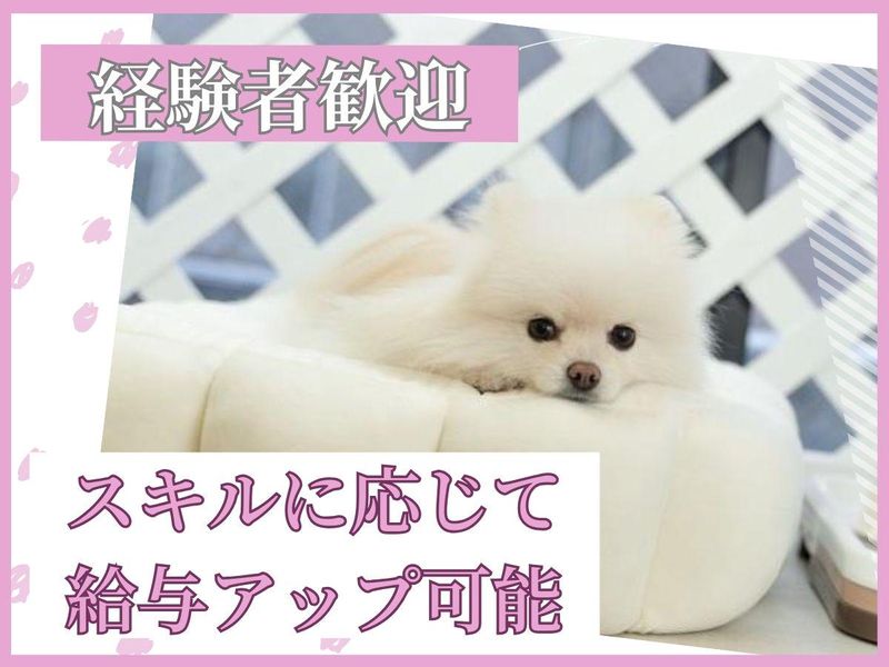 Pets.GINZAの派遣求人情報