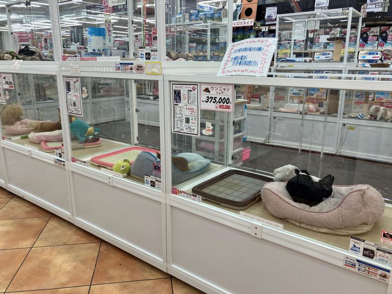 ペットのチャーリィー　高松屋島店のアルバイト・バイト求人情報-03