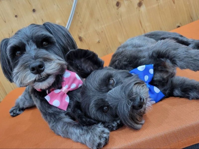 上原医院通所リハビリテーションの派遣求人情報