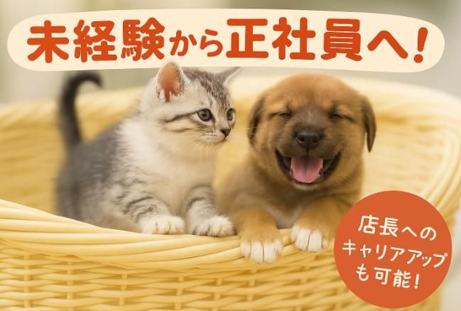 有限会社　アークス-0004の求人・転職情報