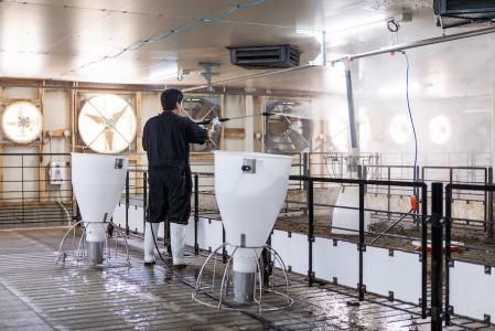 農業・食品業界|人事職や養豚スタッフの仕事、キャリアを知る