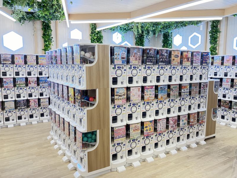 ドリームカプセル WestLaboのアルバイト・バイト求人情報-02