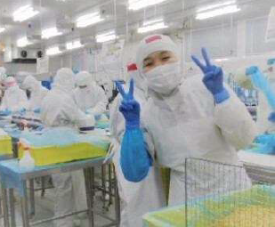 株式会社NPG前野フーズ