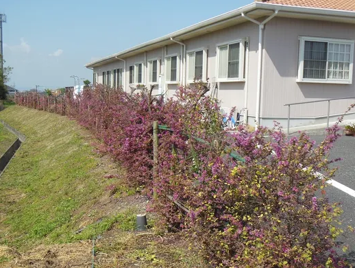 ONEライフスター株式会社の求人・転職情報
