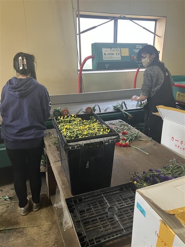 株式会社甲華園のアルバイト・バイト求人情報-03