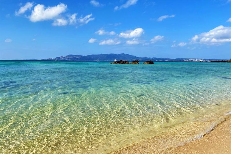 株式会社リノシスコーポレーションの求人・転職情報