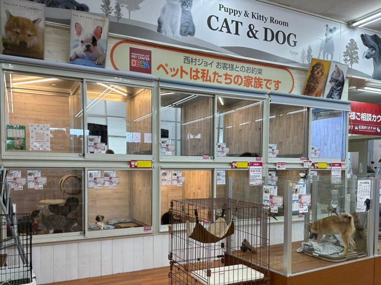 西村ジョイ丸亀店 ペット館のアルバイト・バイト求人情報-04