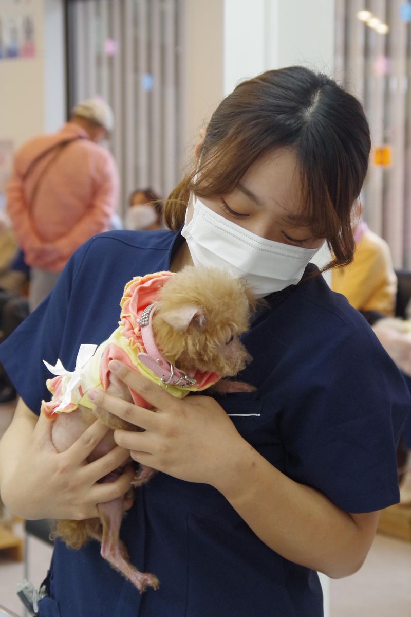 株式会社福井獣医科病院のアルバイト・バイト求人情報-05