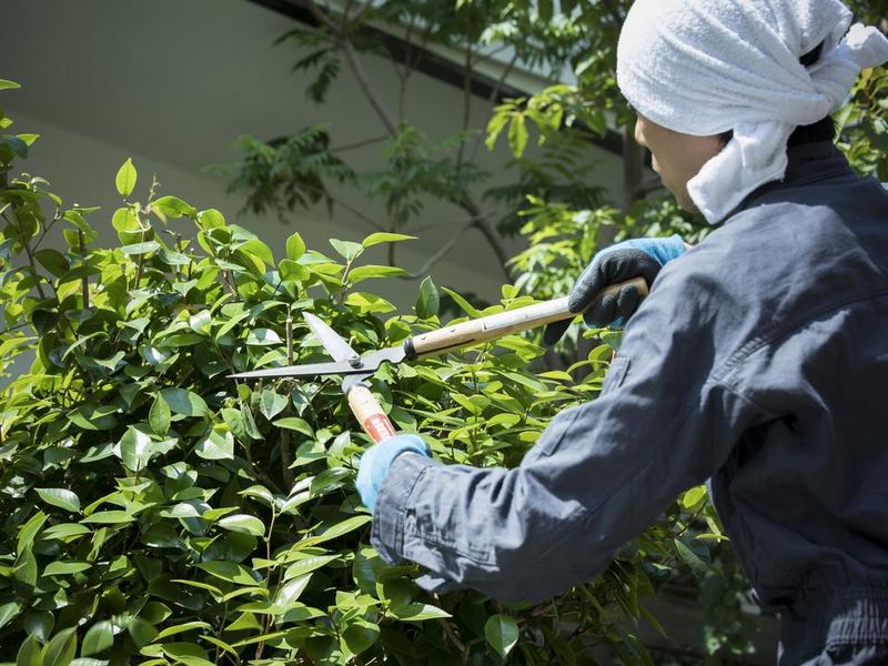 株式会社松幸建設のアルバイト・バイト求人情報-11