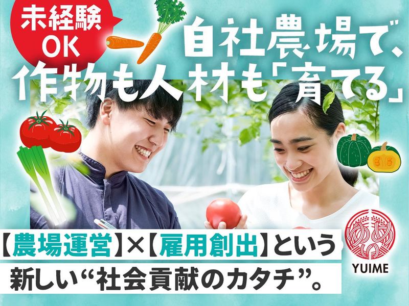 YUIME株式会社の求人・転職情報