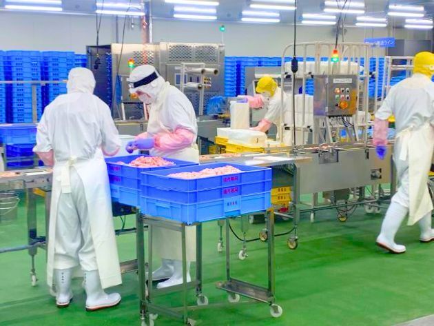 プライフーズ株式会社の求人・転職情報