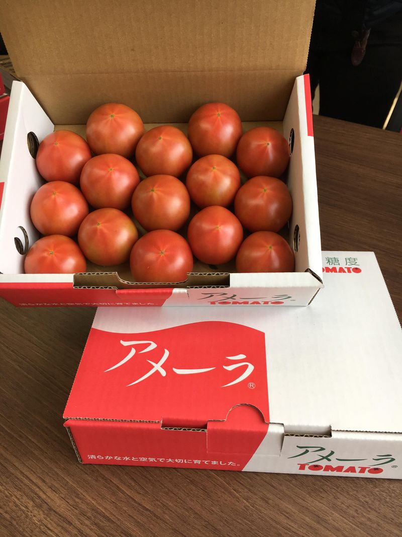 株式会社サンファーム富士小山の求人情報