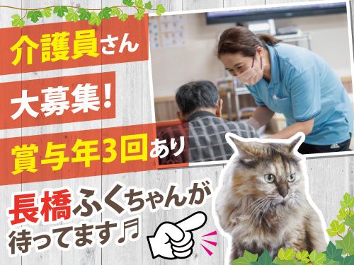 有限会社メルシーの求人・転職情報