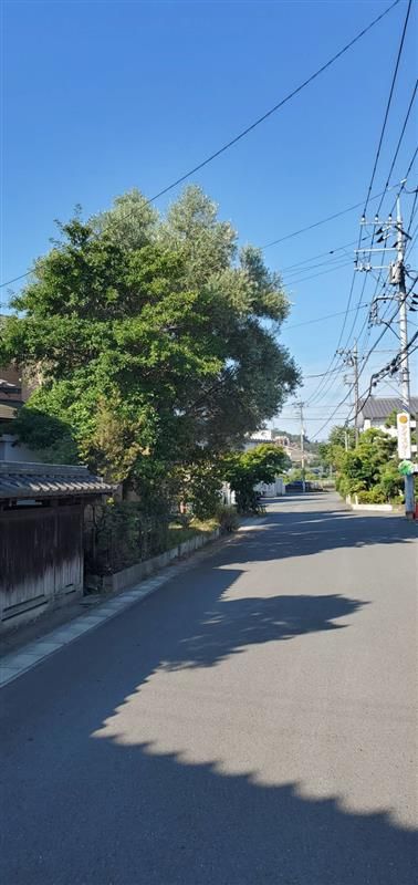 山本造園サービスのアルバイト・バイト求人情報-02