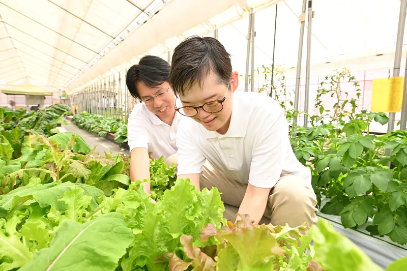 わーくはぴねす農園　市原ファームのアルバイト・バイト求人情報