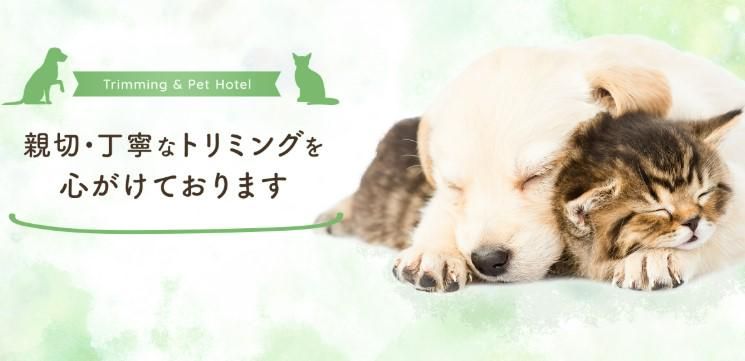 ペットサロン睦のアルバイト・バイト求人情報-04