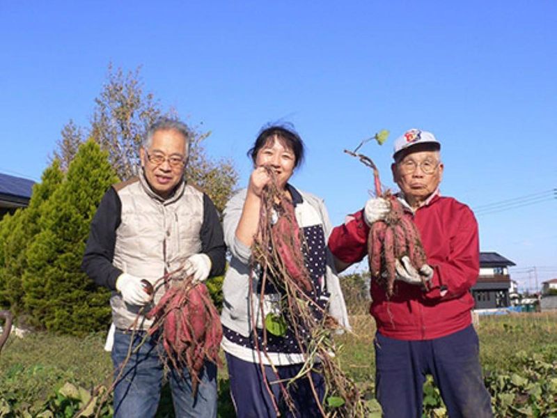 悠馬エンタープライズ有限会社